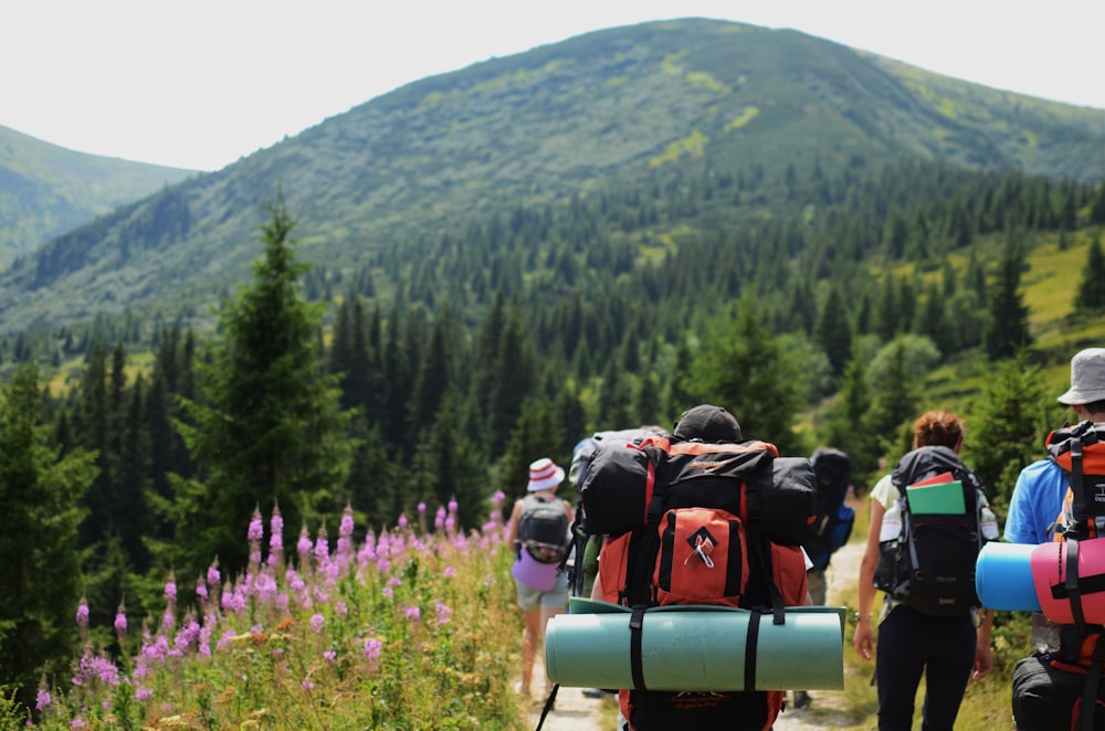 gruppo di persone che trasportano borse da trekking che camminano sulla cima della collina durante il giorno