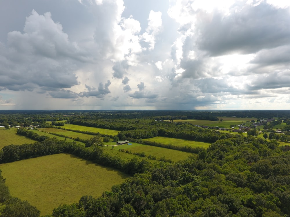 aerial photography of rice field during daytime