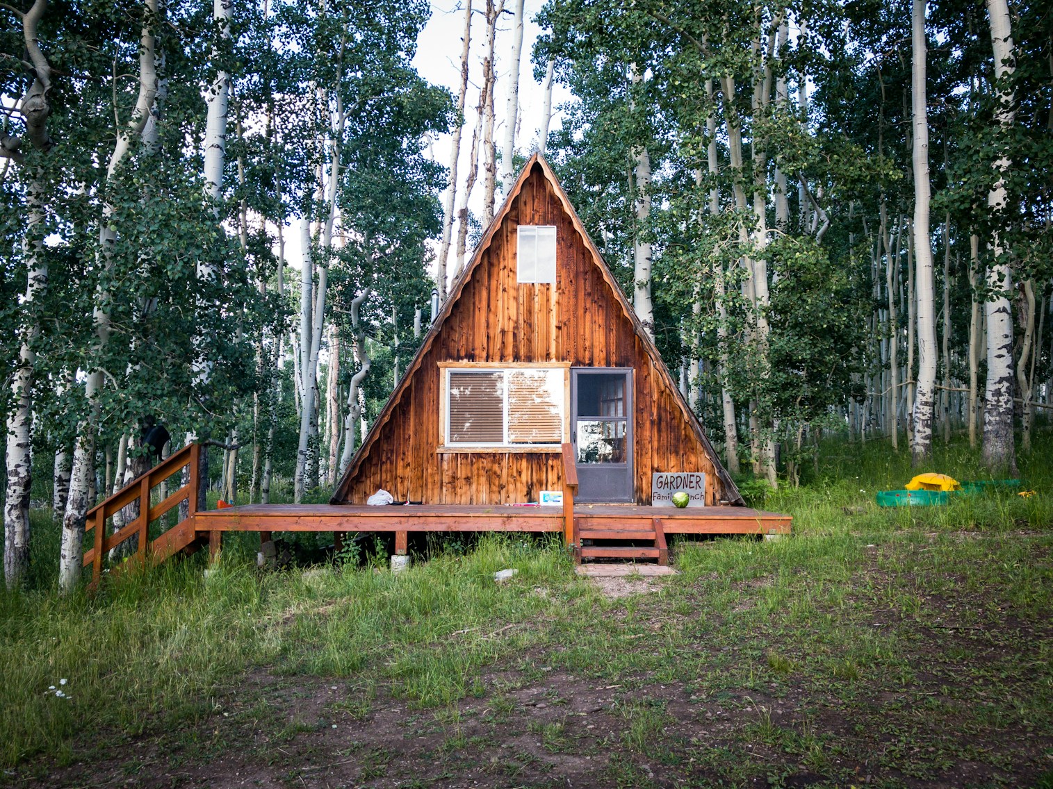Wooden A-frame cabin surrounded by birch trees in a forest clearing