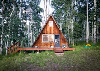 brown wooden house in middle of forest during daytime