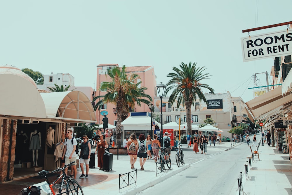 group of people walking on street near majesty palm trees