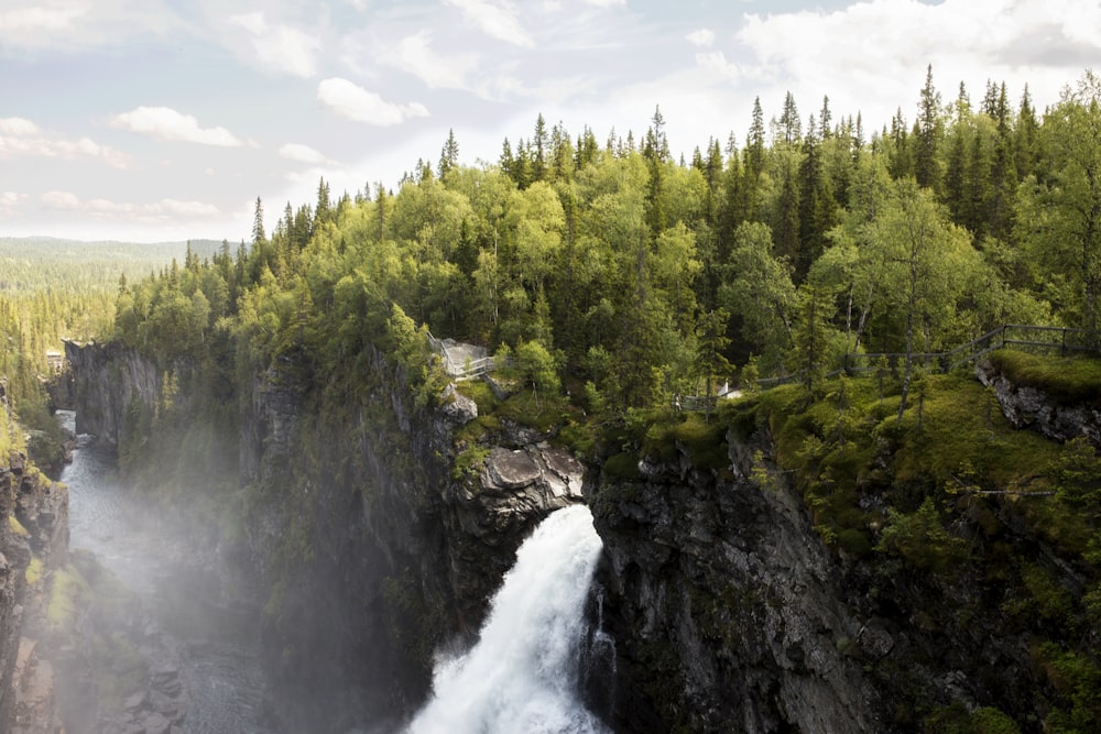 waterfalls surrounded by trees