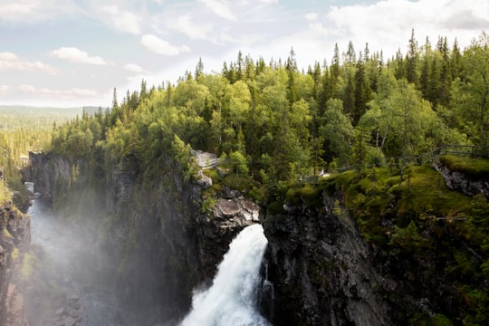 waterfalls surrounded by trees in Gäddede Sweden