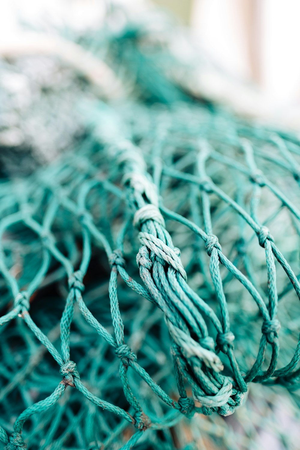 green fish net in shallow focus photography