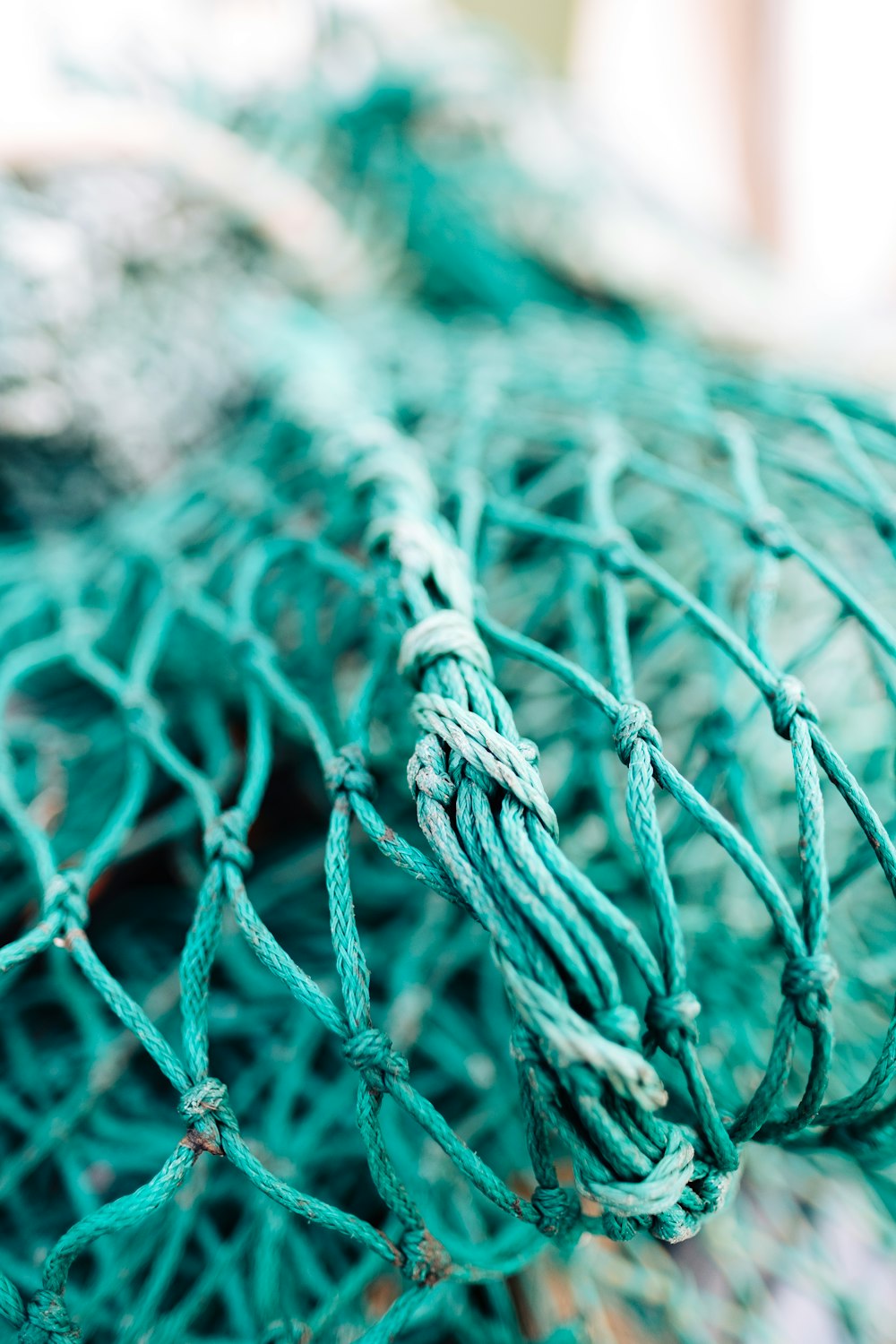 green fish net in shallow focus photography
