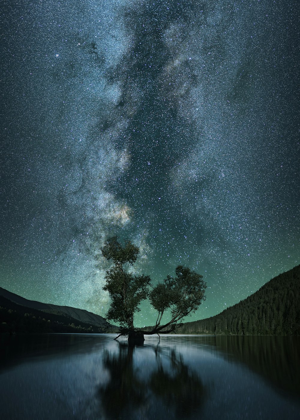 árvore de folhas verdes no corpo de água sob o céu estrelado