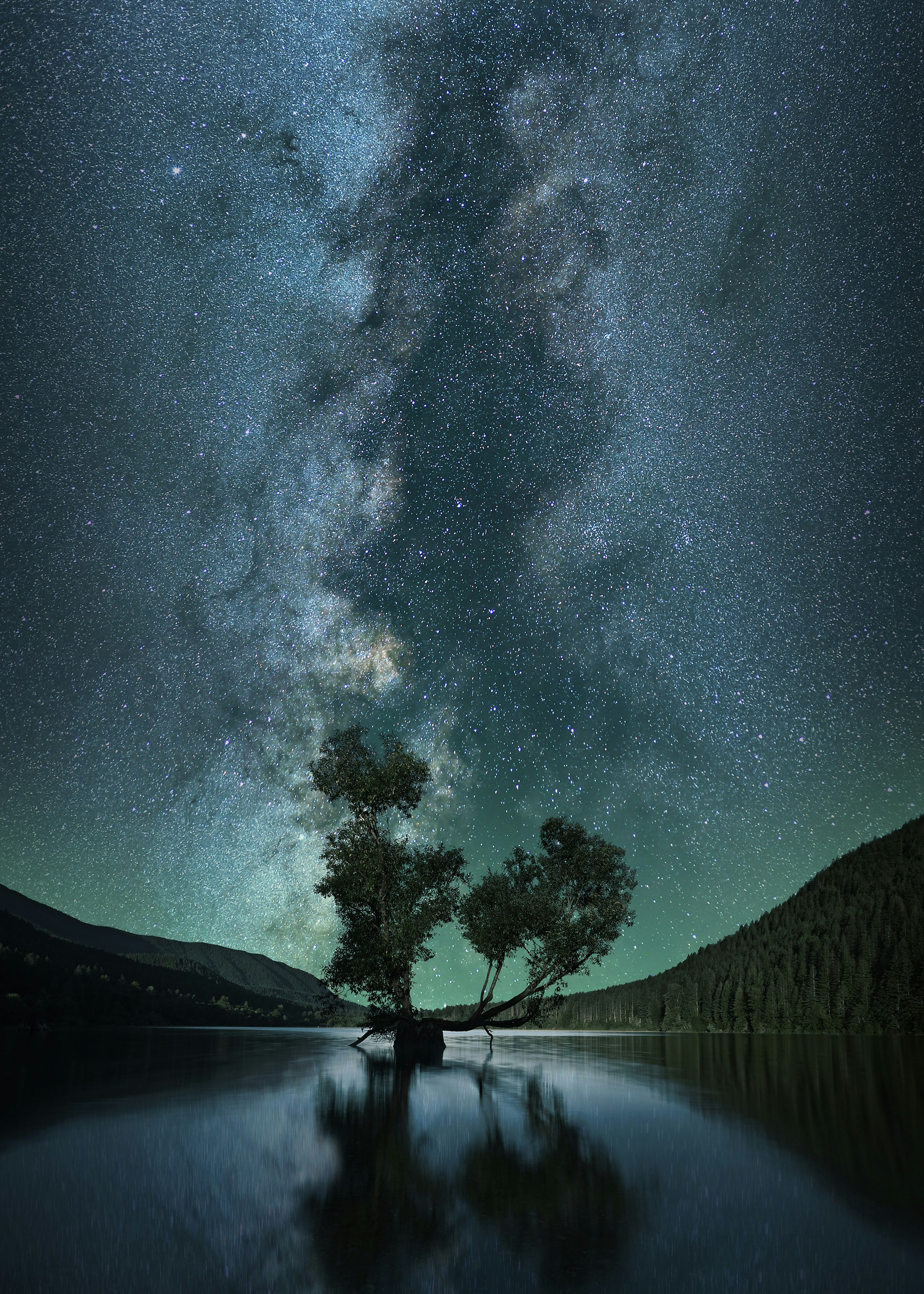 The Great Rift, also know as The Dark Rift, or The Dark River, is a section of non-luminous clouds within the Milky Way. I paired this section of the milky way with a lonely tree for a heavier mood. 
s: 2x2x3 tracked/stacked panorama - 50mm @ f2.8, ISO1600, 120s
fg: 20mm @ f11, ISO100, 5s (hoya nd1000x)