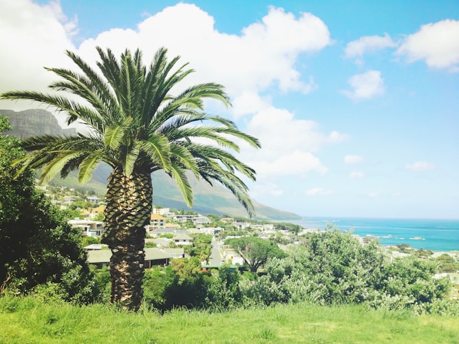 Riu Palace Punta Cana resort