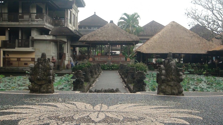 A serene traditional setting with a central stone pathway leading to a pavilion with a thatched roof. On either side of the pathway are lotus ponds filled with large green leaves. Stone statues flank the entrance, serving as guardians to the tranquil space. The background features traditional buildings with earthy-colored walls and thatched roofs, surrounded by lush greenery.