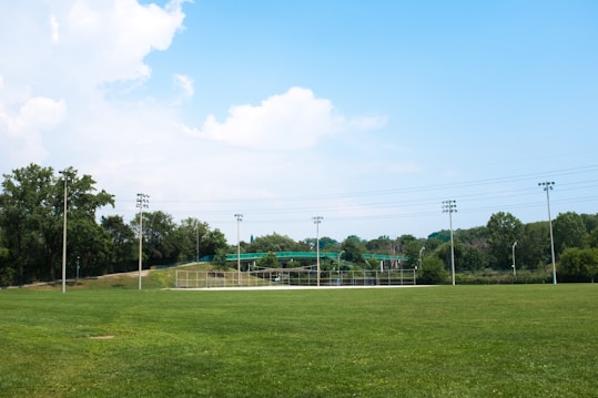 An open grassy field with a set of baseball floodlights surrounding it. In the background, there are trees and a clear blue sky with a few clouds. Fencing and dugouts indicate the presence of a baseball or sports field.