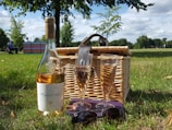 A picnic scene featuring a wicker basket, a bottle of rosé wine, and two filled wine glasses resting on the grass. A pair of sunglasses is also visible on top of a purple-covered book. In the background, trees, a colorful windbreak, and people are enjoying a sunny day in a park.