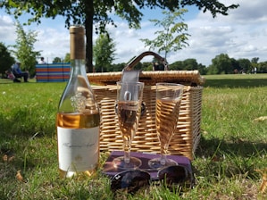 A picnic scene with a blanket, basket, and fresh fruits in a sunny park.