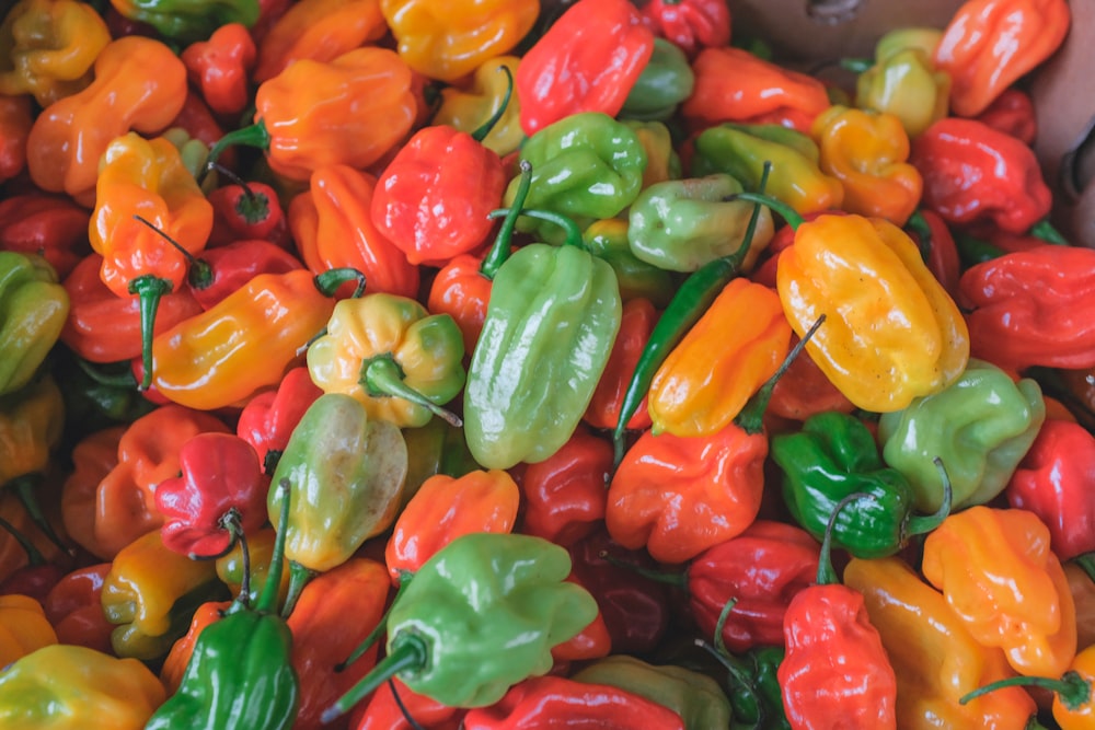 chili pepper lot