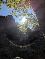 Sunlight filtering through trees highlighting a staurolite cross embedded in natural rock.