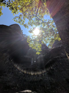 Sunlight filtering through trees highlighting a staurolite cross embedded in natural rock.