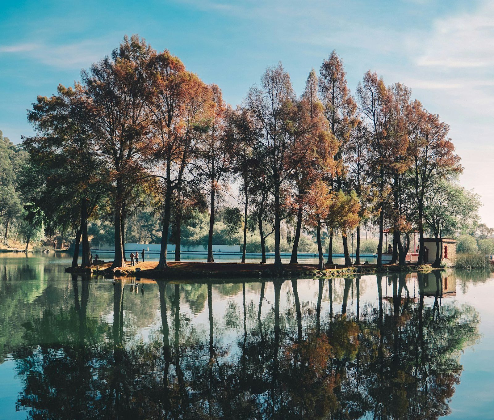 Sony a6000 + Sony Vario Tessar T* FE 24-70mm F4 ZA OSS sample photo. Trees surrounded by body photography