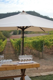 A rustic wooden table set outdoors with glasses of red and white wine overlooking a vineyard.