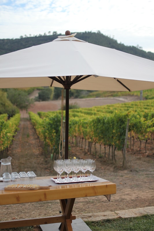 A wooden table is set up in a vineyard with rows of grapevines stretching into the distance. On the table, several empty wine glasses are neatly arranged on a tray, alongside a pitcher of water and a few plates. The table is shaded by a large white umbrella, providing shelter from the sun. The background features a scenic view of rolling hills covered in greenery under a partly cloudy sky.