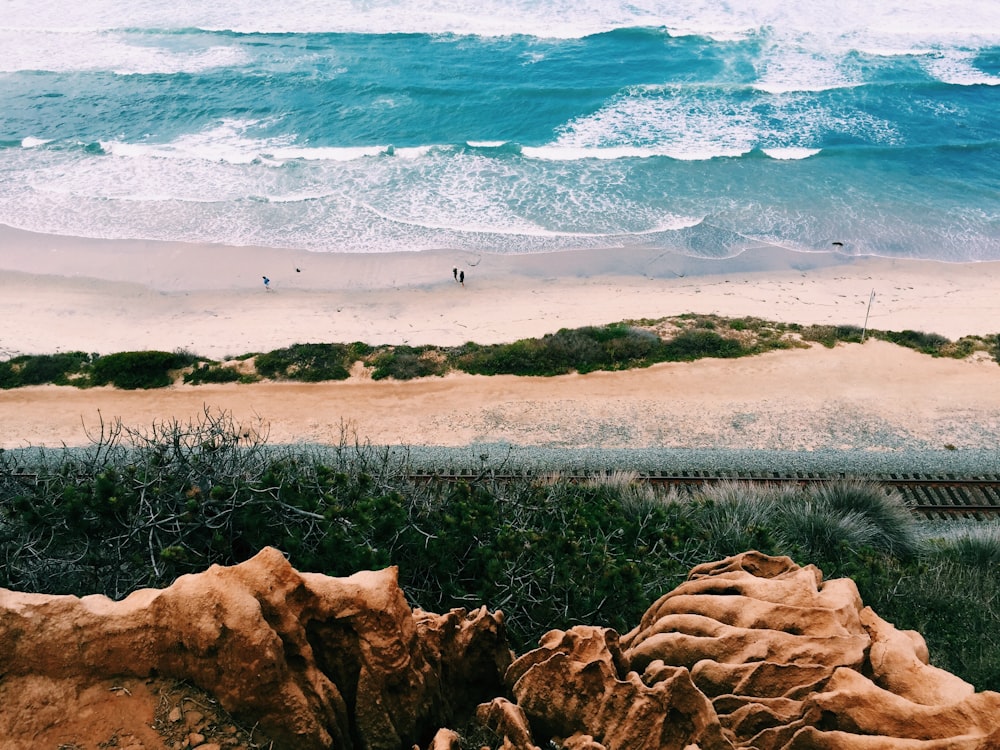 person walking on beach shore during daytime