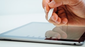 person holding white stylus pen