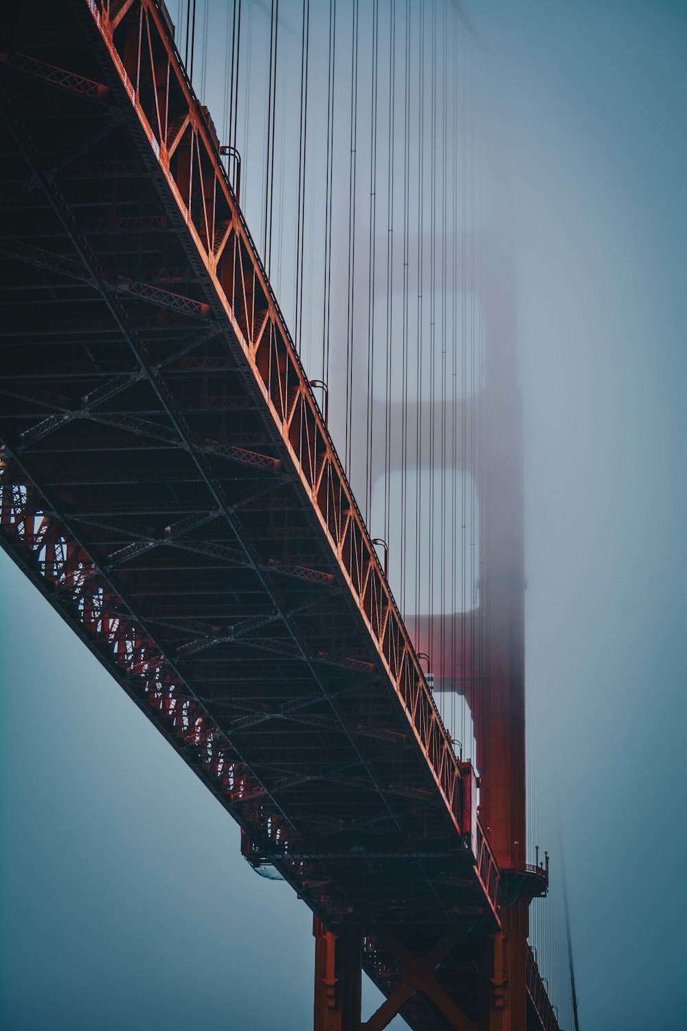 focus photo of brown bridge