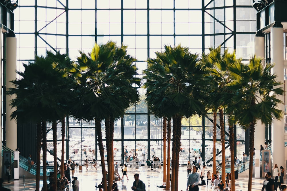 people walking near buildings beside green palm trees