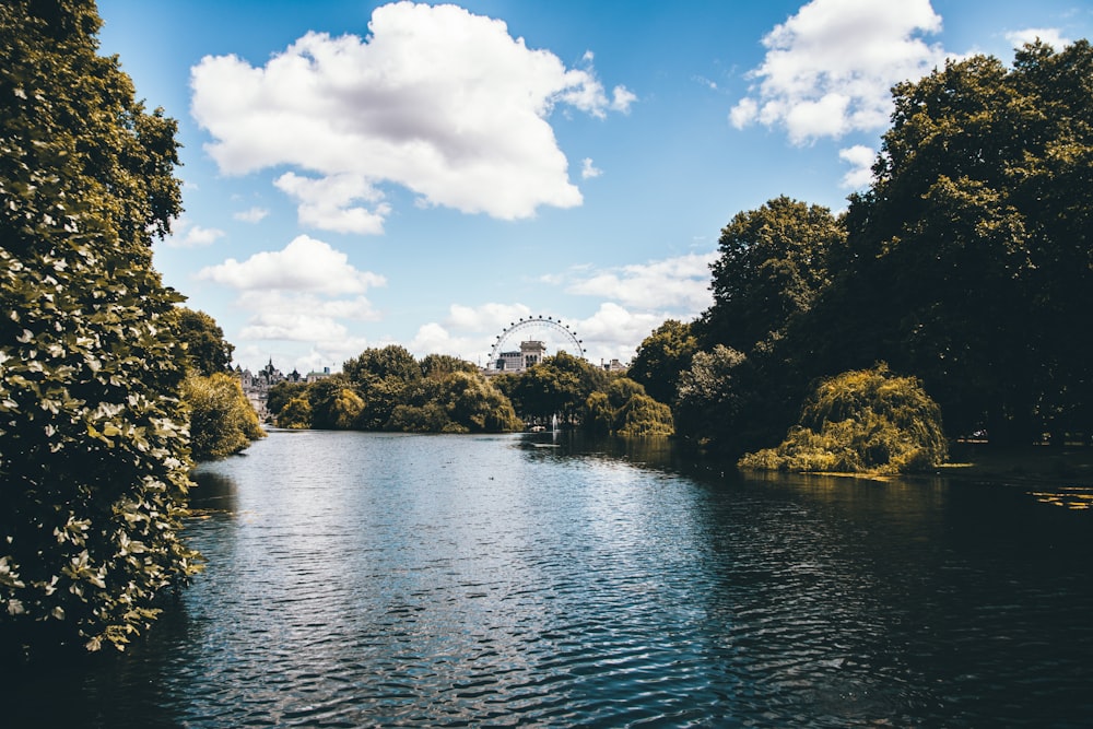 alberi verdi e scogliera accanto a uno specchio d'acqua calmo