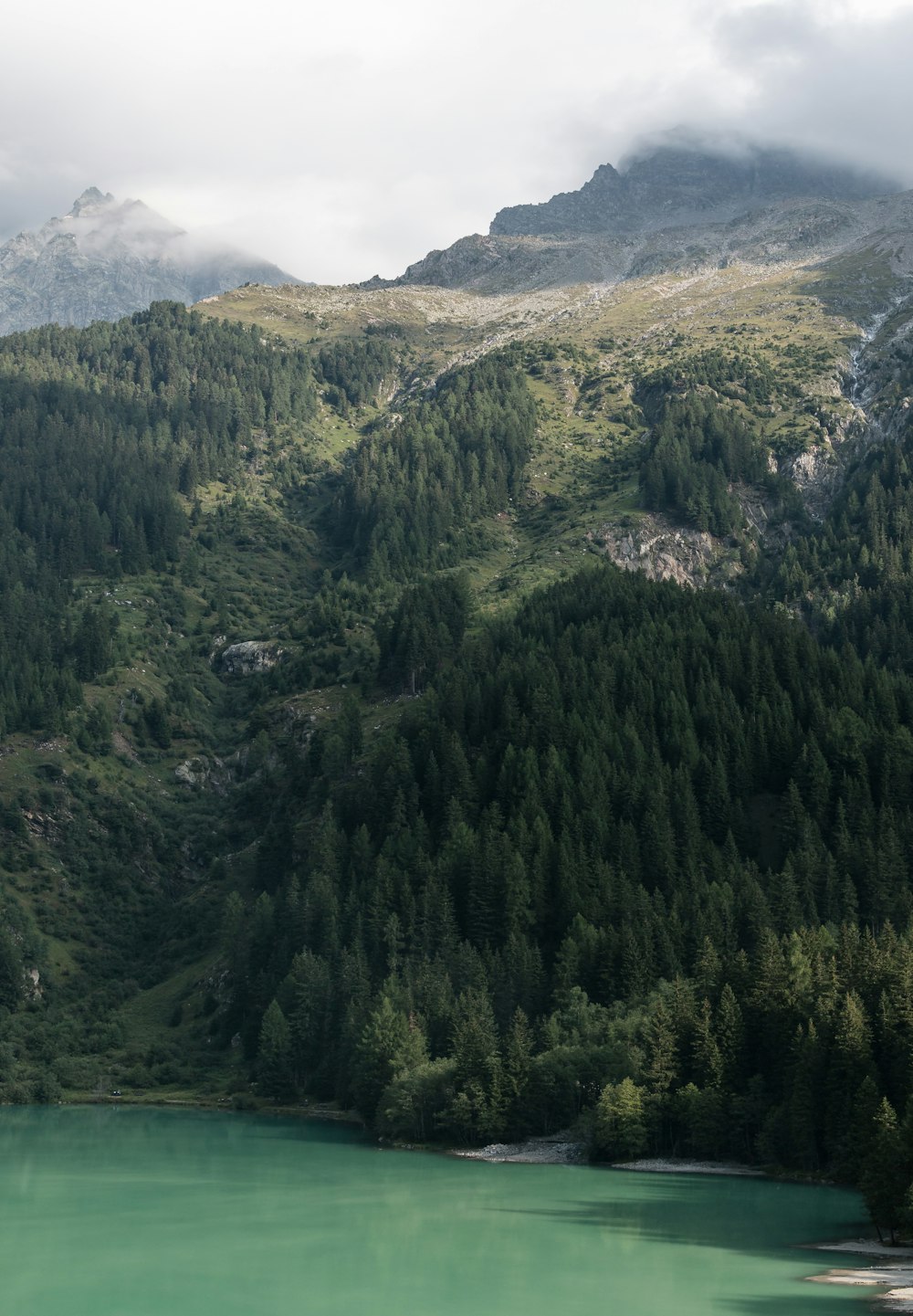 Grüne Bäume und Berge in der Nähe eines grünen Gewässers