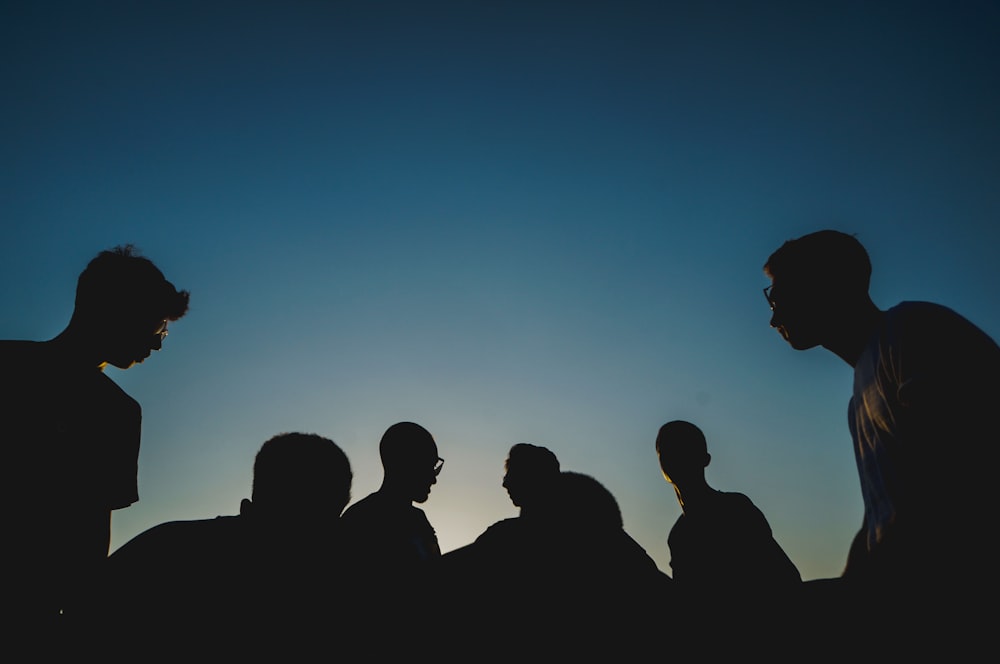 silhouette photo of people