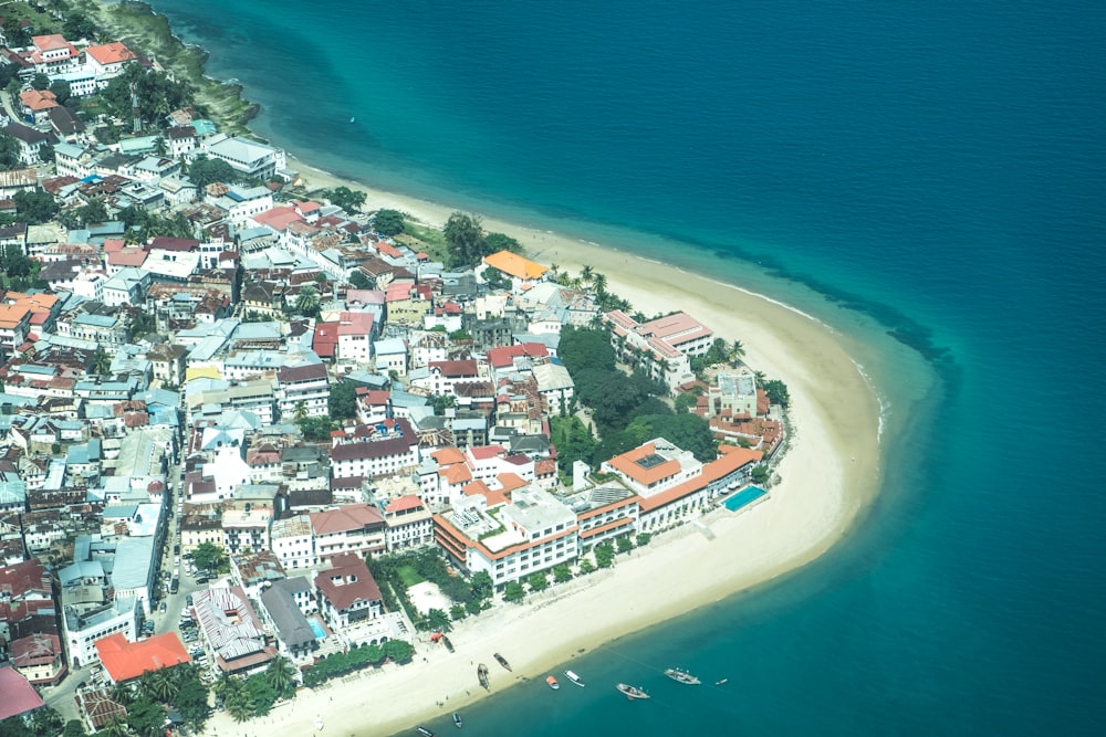 aerial photography of village near body of water