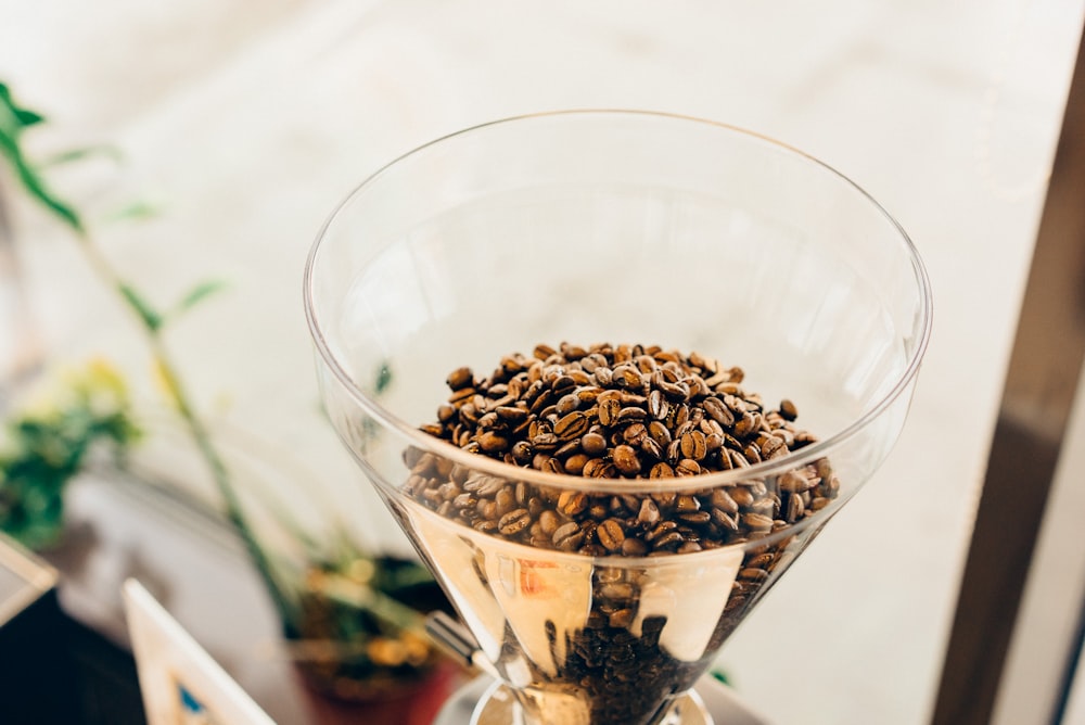 braune Kaffeebohnen auf klarer Glastasse