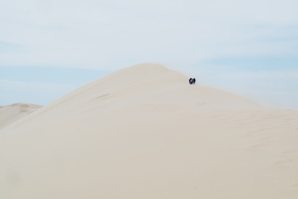 砂漠に立つ人々