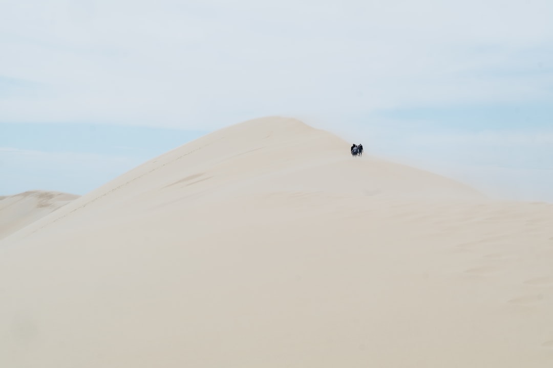 Desert photo spot Dune du pyla Dune du Pilat