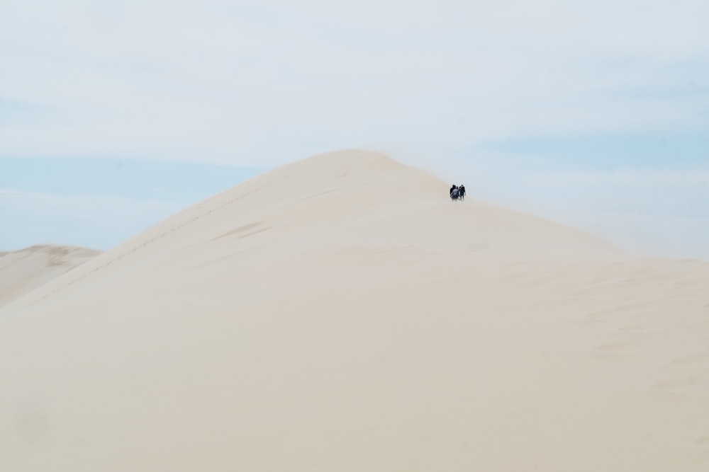 people standing on desert