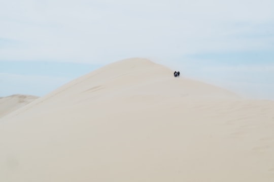 people standing on desert in Dune du pyla France