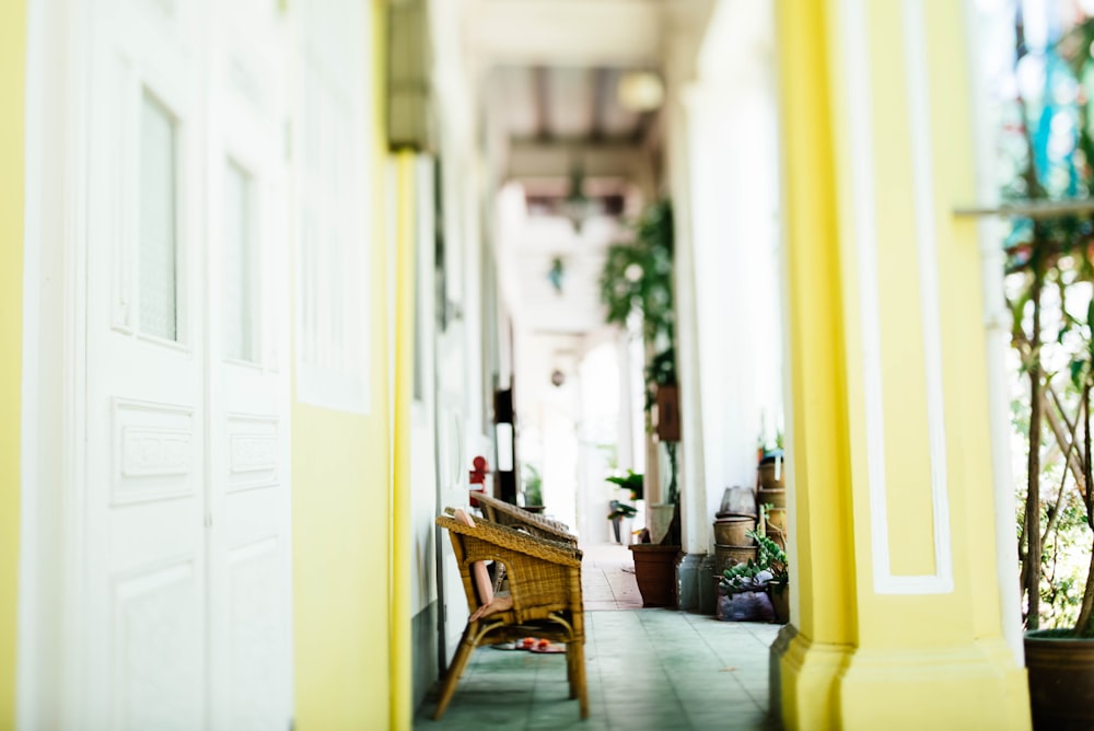 selective focus photography of brown wicker sofa near yellow painted wall