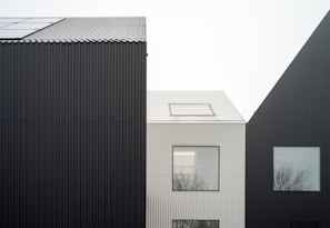 white and black house with clear full-glass window