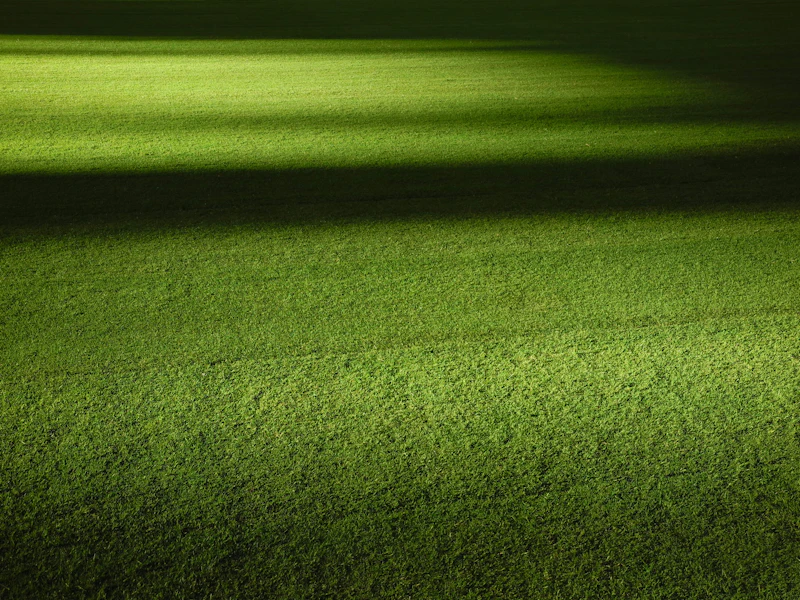 Lapangan 2
