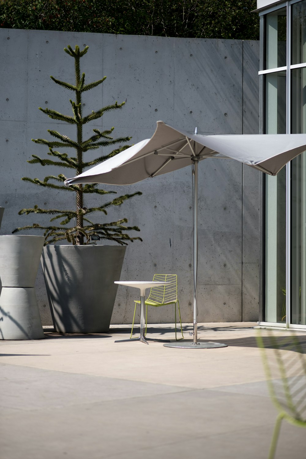 gray patio umbrella beside green pine tree