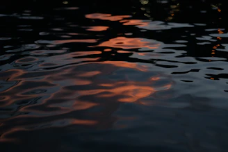 Ripple patterns spreading across a calm water surface at sunset.