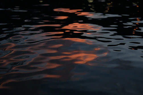 Ripple patterns spreading across a calm water surface at sunset.