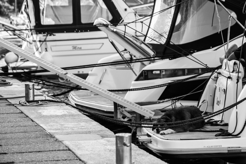 grayscale photo of boat on dock