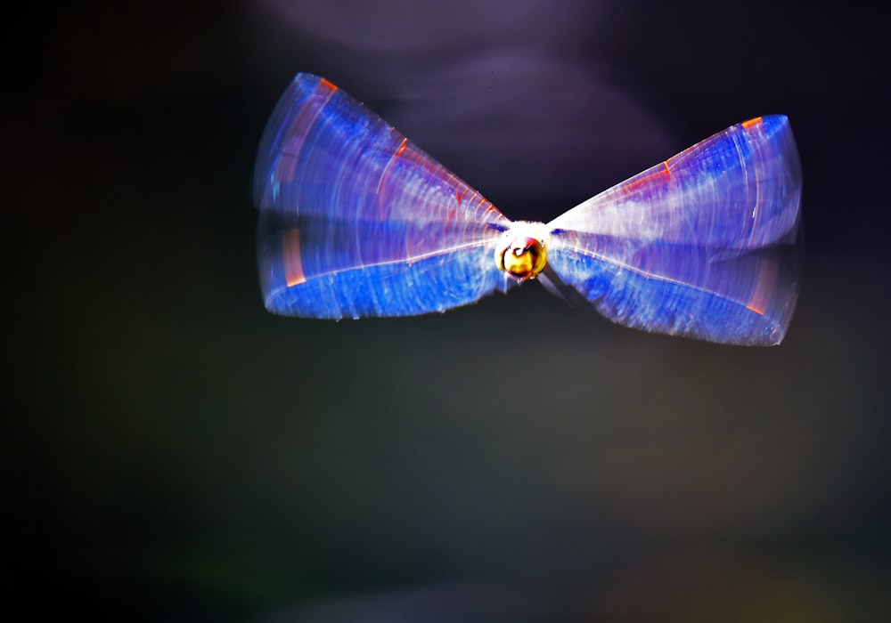 purple and yellow dragonfly in time-lapse photography