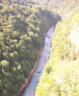 A winding river flowing through the forested valley with sunlight filtering through the trees.
