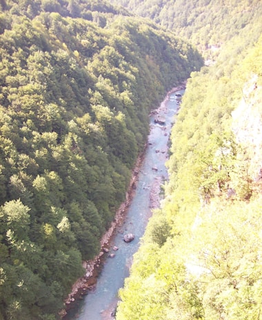 A flowing river winding through a lush green valley, reflecting the clear sky above.