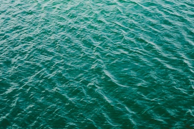 body of water during day