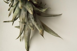 Ananas Exquis