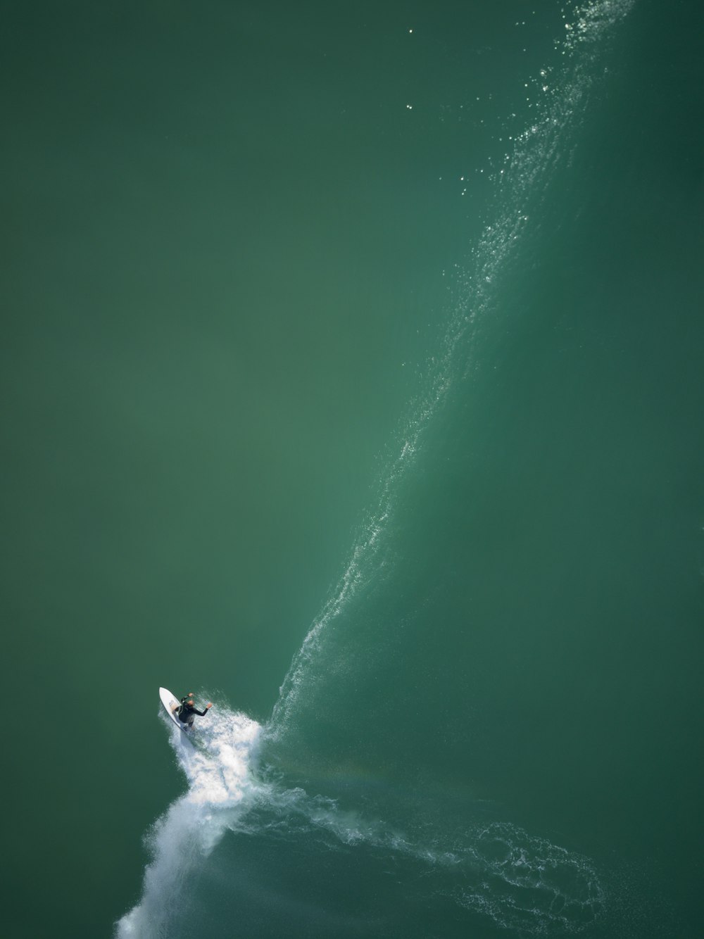 aerial view of surfer