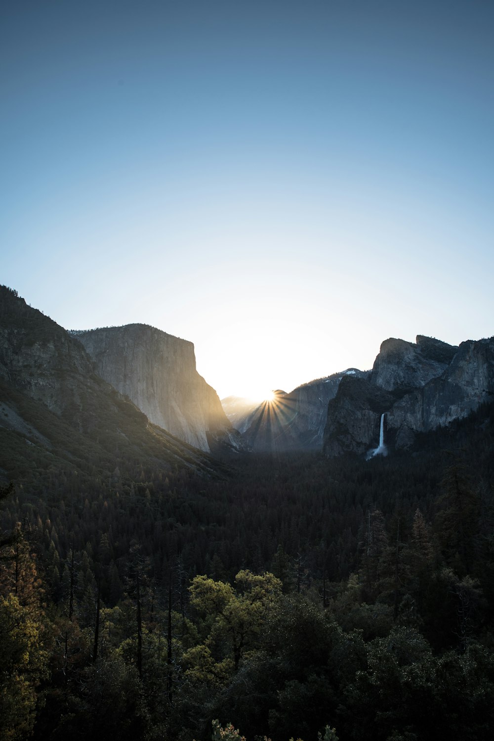 green forest during sunrise