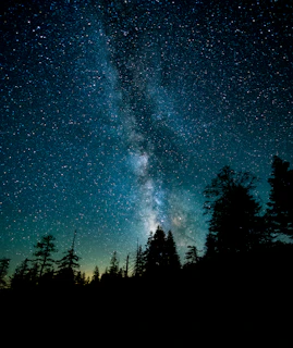 A breathtaking view of the Milky Way arching over a quiet forest at night.